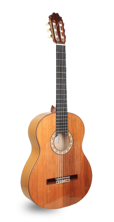 Guitarra de autor Francisco Sánchez - Vista Trasera